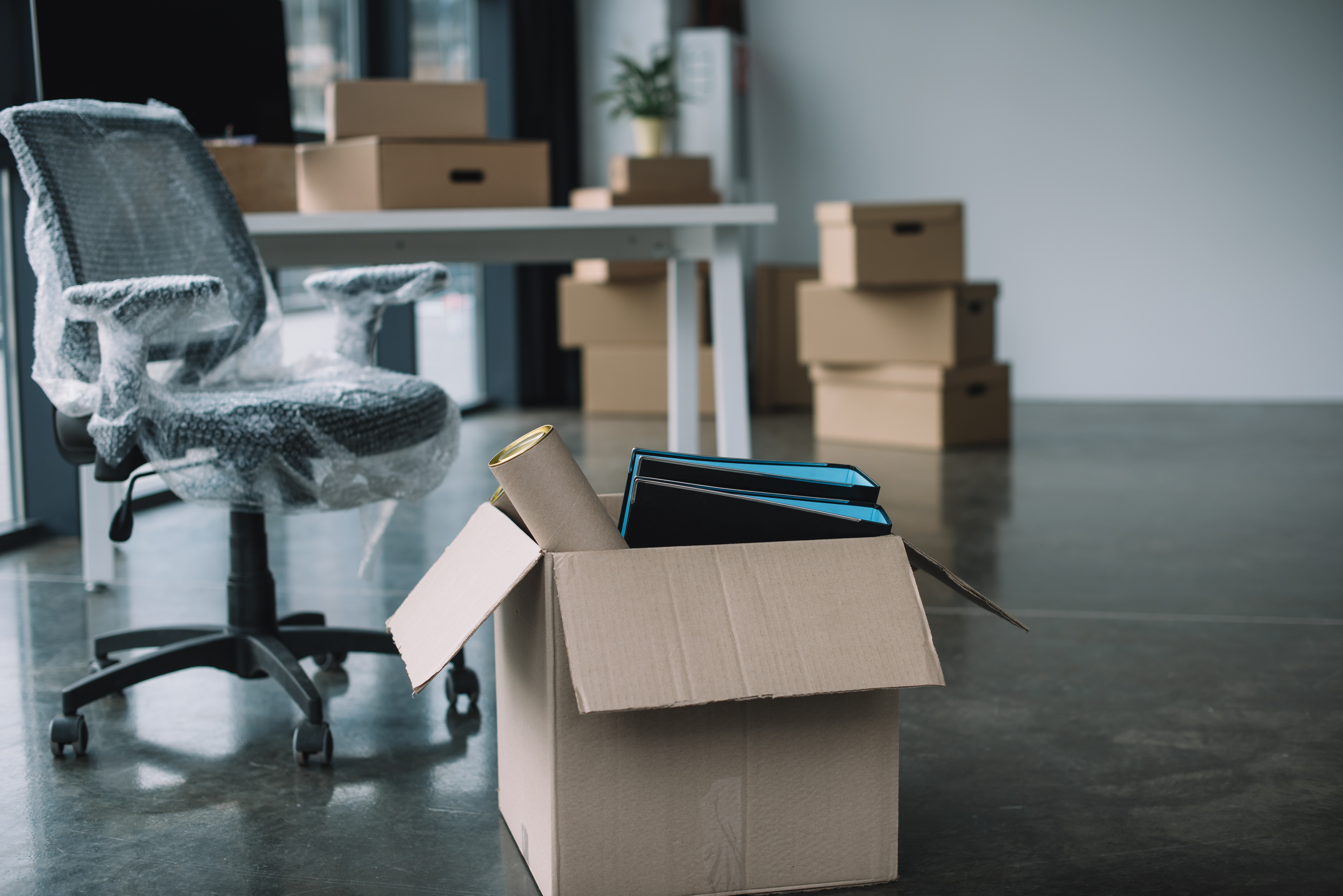 Business clearance